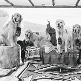 Bildband Bruce Weber