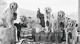 Bildband Bruce Weber