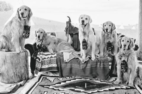 Bildband Bruce Weber