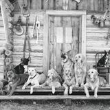 Bildband Bruce Weber