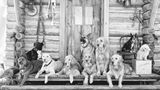 Bildband Bruce Weber