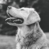 Bildband Bruce Weber