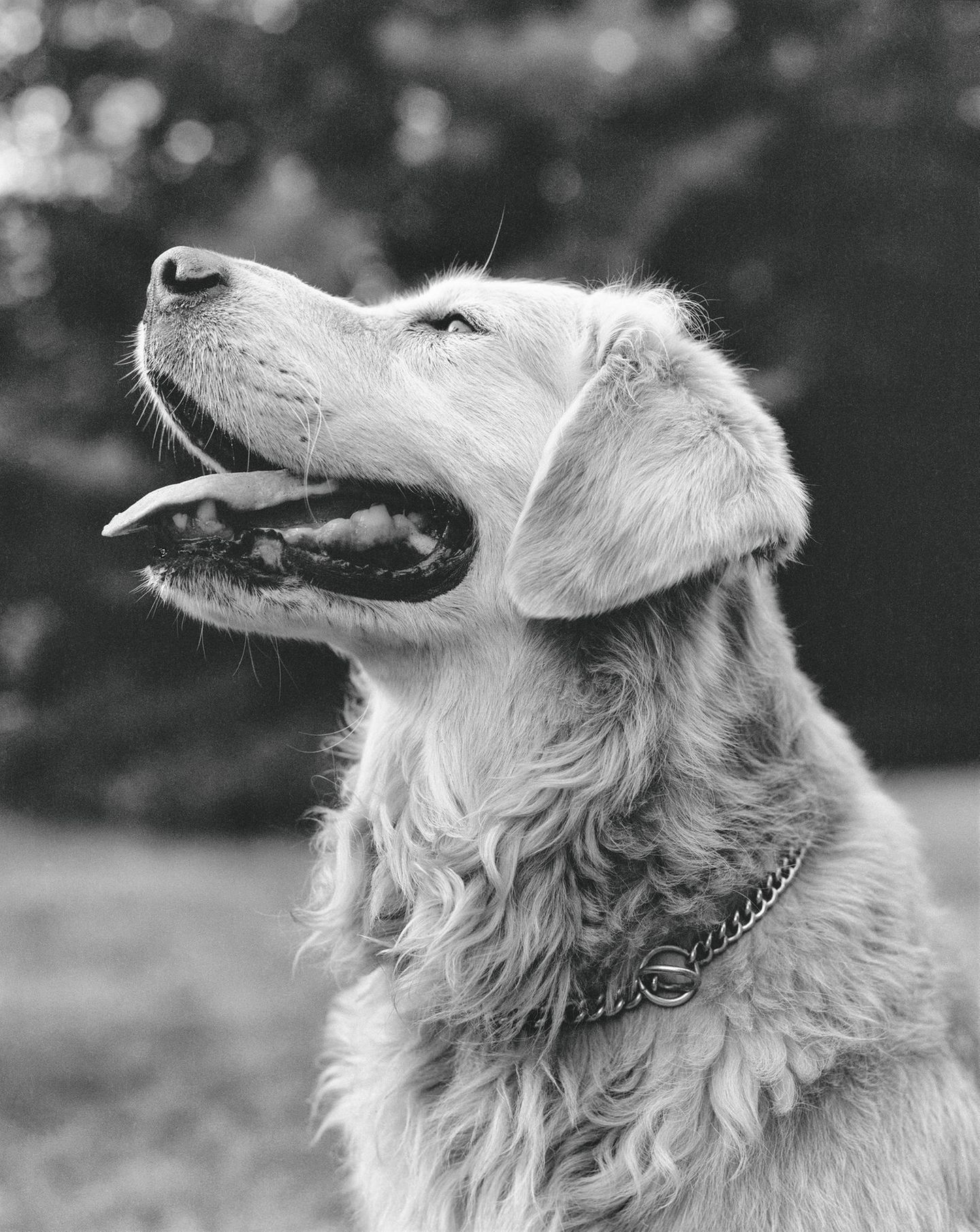 Bildband Bruce Weber Bildband Bruce Weber