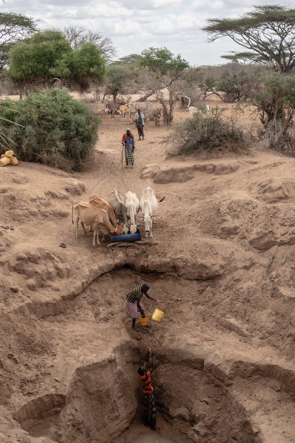 Viele Meter tief müssen die Männer im Flussbett graben, bis sie auf Wasser stoßen. Tana River, wo das Foto entstand, gehört zu einer der am stärksten von der Dürre betroffenen Regionen in Kenia