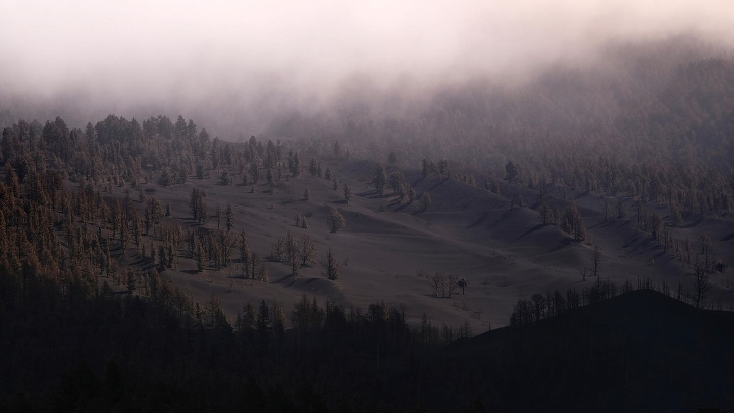 Es ist ein Farbbild, aber Asche und grauer Himmel lassen das Foto wie eine Schwarz-Weiß-Aufnahme aussehen.