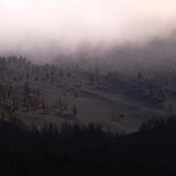 Es ist ein Farbbild, aber Asche und grauer Himmel lassen das Foto wie eine Schwarz-Weiß-Aufnahme aussehen.