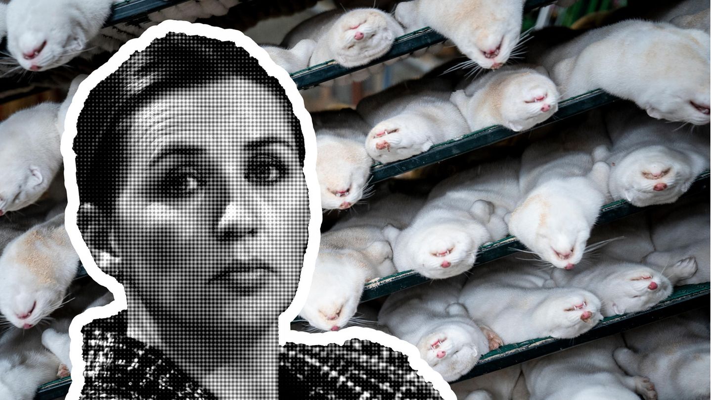 Vorne: Mette Frederiksen. Im Hintergrund: getötete Nerze liegen auf Gittern Vorne: Mette Frederiksen. Im Hintergrund: getötete Nerze liegen auf Gittern