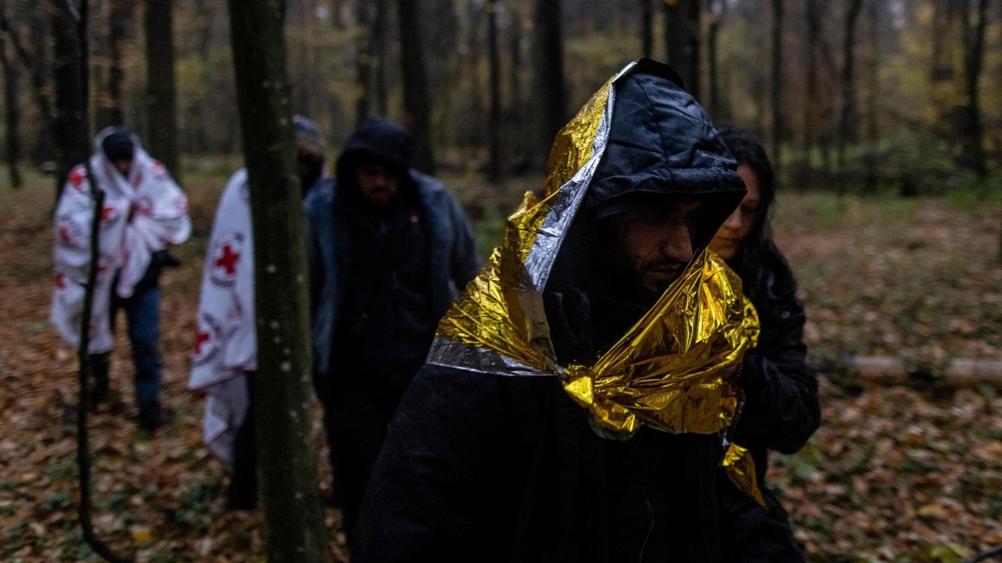 Geflüchtete in einem Wald im Grenzgebiet