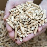 Holzpellets