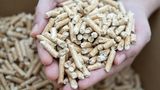 Holzpellets