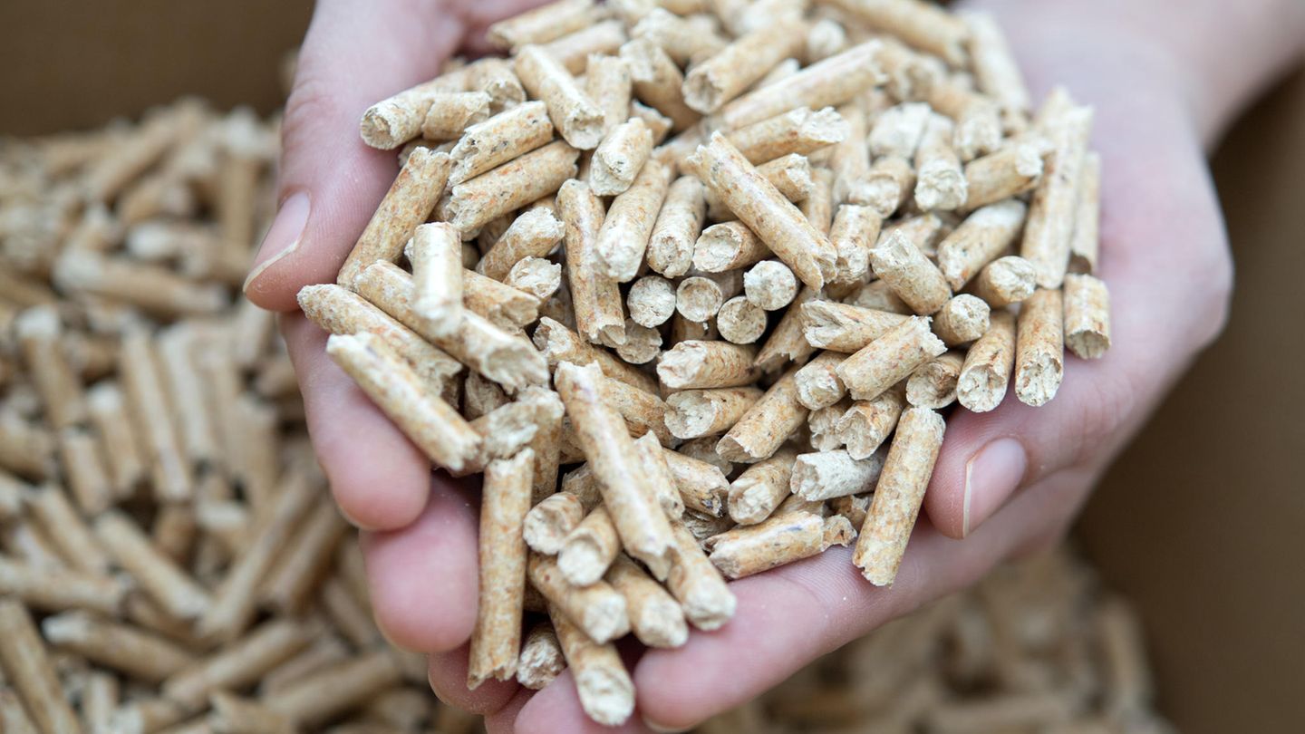 Holzpellets
