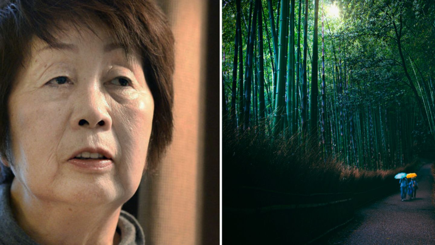 Chisako Kakehi ist wegen mehrfachen Mordes angeklagt.