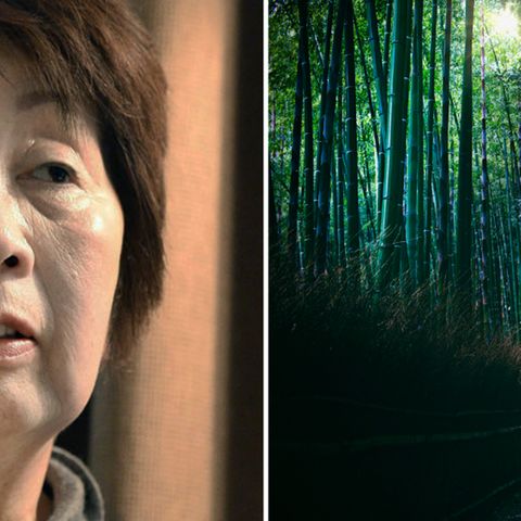 Chisako Kakehi ist wegen mehrfachen Mordes angeklagt.