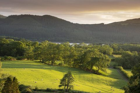 Der "Lake District National Park" ist ein beliebtes Ziel zum Wandern