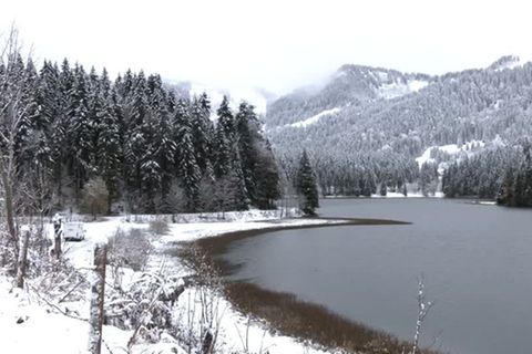 Video: Der erste Schnee