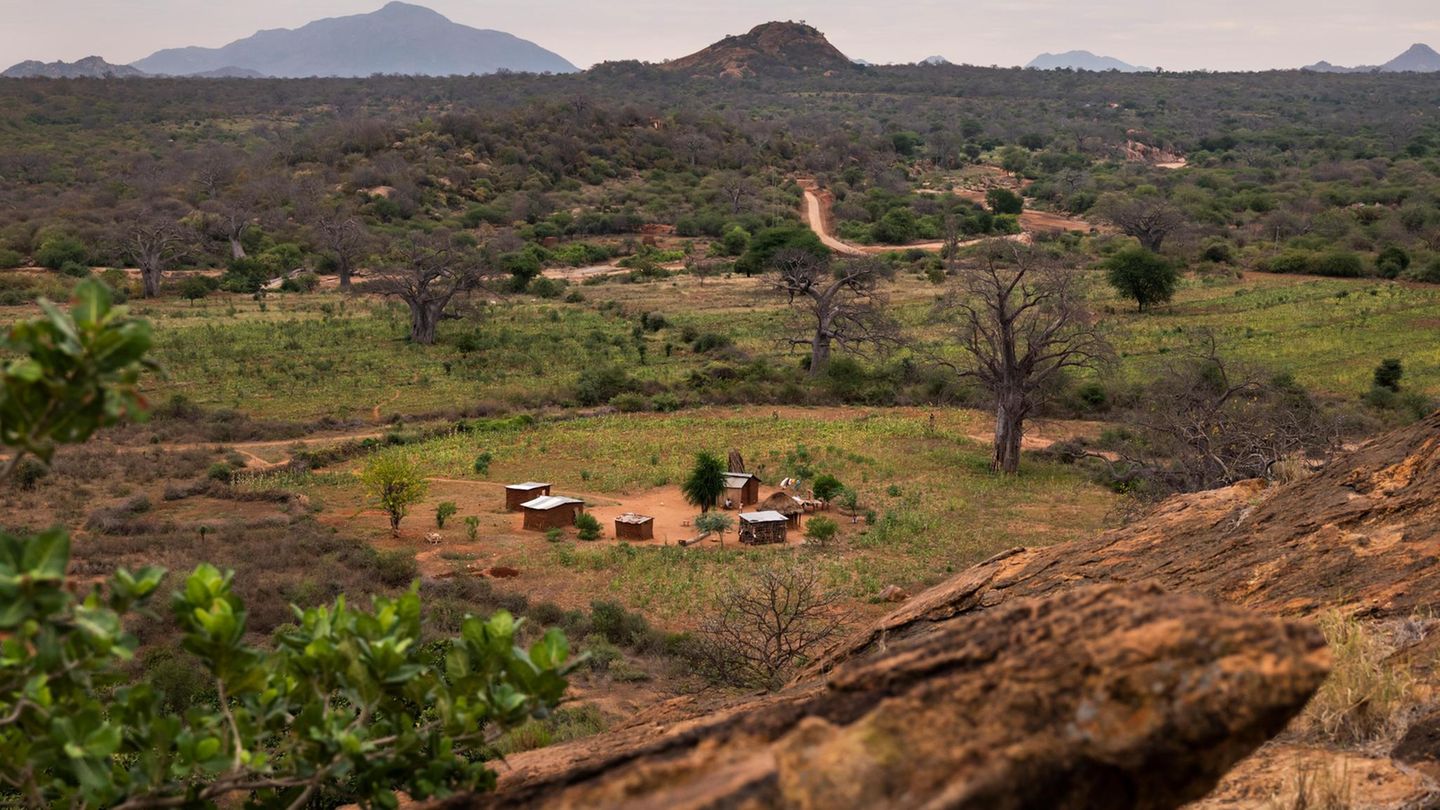 A typical image of Kinakoni: The huts of a family surrounded by their fields