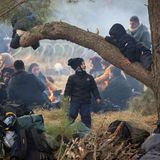 Auf einem tief hängenden, dicken Ast eines Nadelbaumes liegt ein etwa fünfjähriges Kind in dunkelblauem Parka