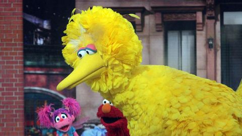 Bibo aus der "Sesamstraße"