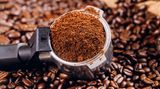 30 Prozent Robusta  Robusta ist sozusagen die schwerfällige Schwester der edlen Arabica. Sie ist erst Jahrhunderte nach der Arabica als wilde Urwaldpflanze entdeckt worden. Wie der Name schon andeutet, stellt Robusta keine so hohen Ansprüche an ihre Umgebung. Sie kommt gut im Tiefland zurecht, während Arabica am besten in Hochlagen gedeiht. Im Geschmack ist sie zwar nicht so elegant wie Arabica, doch sie enthält doppelt so viel Koffein. Robusta wird daher traditionell in Espressomischungen verwendet und gibt dem kleinen Schwarzen erst den richtigen Kick, den leicht bitteren Geschmack und die seidige Konsistenz. Die typische Espressomischung enthält 70 Prozent Arabica, 20 Prozent Robusta und 10 Prozent Kenia-Hochland-Kaffee. Da Robusta-Kaffees meist nur halb so teuer im Einkauf sind, werden gelegentlich geschmacksneutrale Robustasorten mit Arabica beim Filterkaffee verschnitten. Robusta muss jedoch nicht schlecht schmecken. Die Robustafrüchte wurden in den vergangenen Jahren durch Kreuzungen erheblich verfeinert. Und nach Aussage professioneller Kaffeetester schmeckt ein guter Robusta besser als ein mittelmäßiger Arabica.