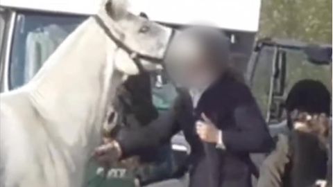 Tierschützer veröffentlichen grausames Video: Jägerin tritt und schlägt ihr Pferd