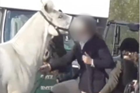 Tierschützer veröffentlichen grausames Video: Jägerin tritt und schlägt ihr Pferd