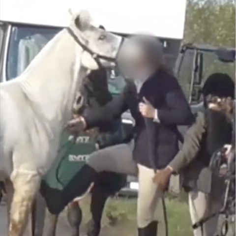Tierschützer veröffentlichen grausames Video: Jägerin tritt und schlägt ihr Pferd