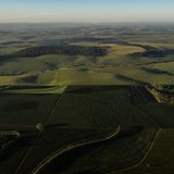 "Aus den besten Anbauregionen"  Panoramablick über eine Kaffeeplantage in Brasilien mitten in der Erntezeit. Es gibt aufgrund ihrer Lage ausgezeichnete Anbaugebiete und weniger gute. Am Ende entscheidet die Kunst der Mischung über die Güte des Kaffees. Wären tatsächlich Top-Lagen darunter, wie zum Beispiel Guatemala, Costa Rica oder überhaupt Hochlagen, würde der Kaffeehersteller sie sicher namentlich aufführen. Mit der Formulierung "Beste Anbauregionen" hält sich der Kaffeeproduzent stets offen, aus welchen Gebieten die Bohnen für seinen Kaffee kommen. Da Kaffee aus bis zu 20 Sorten zusammengestellt werden, können es sehr unterschiedliche Herkunftsländer sein.