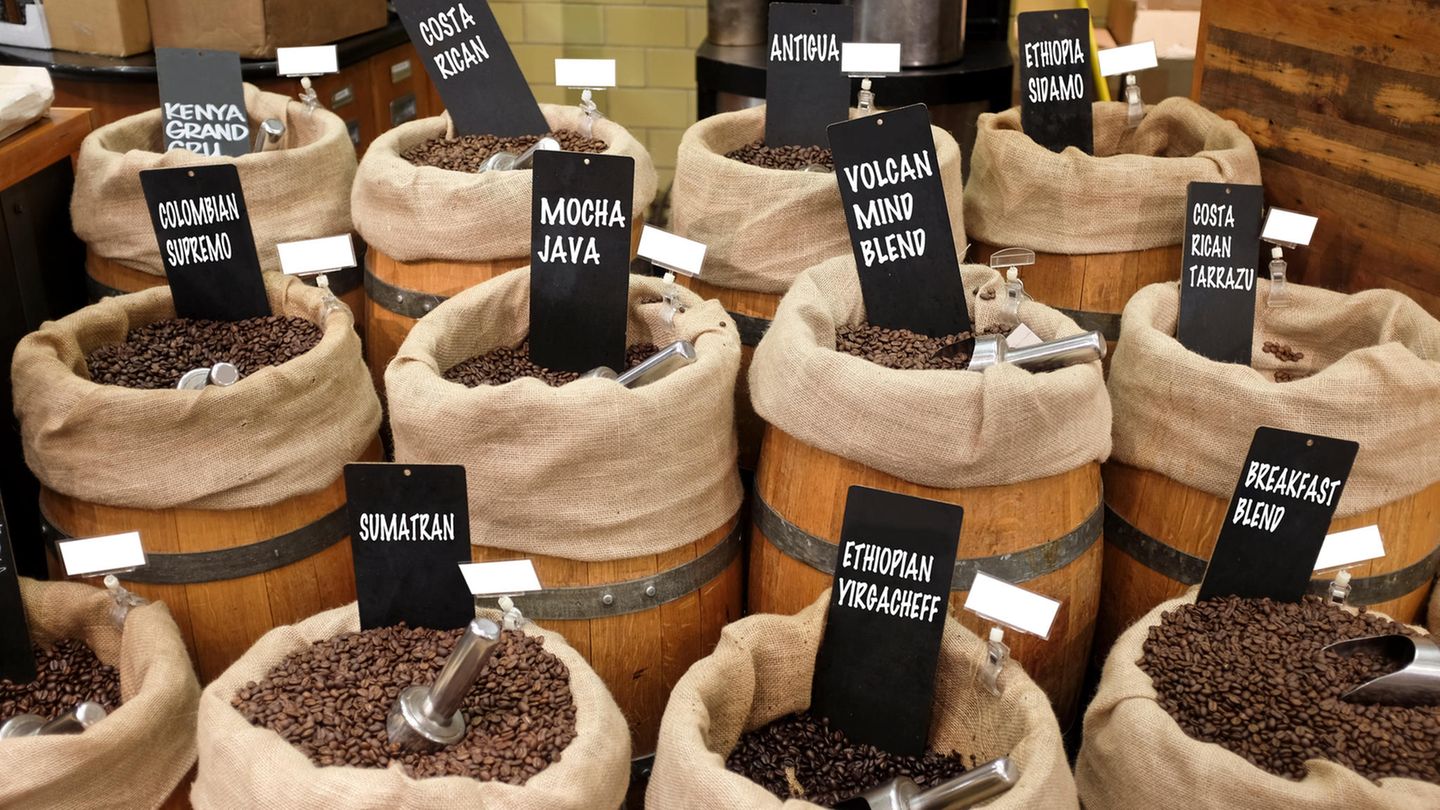 Besser Kaffee kaufen: Mischung Fast alle Kaffees sind Mischungen verschiedener Sorten. Es ist die hohe Kunst der Kaffeetester, Bohnen aus den unterschiedlichen Anbaugebieten und Ländern so miteinander zu kombinieren, dass der gewünschte Kaffee entsteht. Zum Beispiel ein besonders milder Kaffee, der aber nicht langweilig schmeckt. Oder einer mit großer Fülle zugleich jedoch möglichst feiner Säure. Als reines Naturprodukt schmeckt Kaffee je nach Anbauort grundverschieden. Der Boden in Guatemala ist in seiner Beschaffenheit ein völlig anderer als im Jemen. Entsprechend lagert die Kaffeebohne jeweils unterschiedliche Aromen ein. Entscheidend für den Geschmack ist ebenfalls die Höhe, in der der Kaffeebaum wächst. Je höher am Berg, desto langsamer das Wachstum und desto mehr Zeit für die Pflanze eine große Vielfalt an Aromen auszubilden. In Höhen unterhalb 800 Metern wachsen die Bäume schneller. Da die Erde nährstoffreicher ist, schmeckt der Kaffee weniger mineralisch und säurehaltig. Für die mitteleuropäischen Kaffees werden bis zu 20 verschiedene Sorten gemischt. Wer diese Vielfalt abseits vom Supermarkt-Kaffee schmecken möchte, sollte sich bei einer kleinen Rösterei ein Probierpaket aus vier, fünf Sorten bestellen und diese in einer French-Press-Kanne aufbrühen. Mischung Fast alle Kaffees sind Mischungen verschiedener Sorten. Es ist die hohe Kunst der Kaffeetester, Bohnen aus den unterschiedlichen Anbaugebieten und Ländern so miteinander zu kombinieren, dass der gewünschte Kaffee entsteht. Zum Beispiel ein besonders milder Kaffee, der aber nicht langweilig schmeckt. Oder einer mit großer Fülle zugleich jedoch möglichst feiner Säure. Als reines Naturprodukt schmeckt Kaffee je nach Anbauort grundverschieden. Der Boden in Guatemala ist in seiner Beschaffenheit ein völlig anderer als im Jemen. Entsprechend lagert die Kaffeebohne jeweils unterschiedliche Aromen ein. Entscheidend für den Geschmack ist ebenfalls die Höhe, in der der Kaffeebaum wächst. Je höher am Berg, desto langsamer das Wachstum und desto mehr Zeit für die Pflanze eine große Vielfalt an Aromen auszubilden. In Höhen unterhalb 800 Metern wachsen die Bäume schneller. Da die Erde nährstoffreicher ist, schmeckt der Kaffee weniger mineralisch und säurehaltig. Für die mitteleuropäischen Kaffees werden bis zu 20 verschiedene Sorten gemischt. Wer diese Vielfalt abseits vom Supermarkt-Kaffee schmecken möchte, sollte sich bei einer kleinen Rösterei ein Probierpaket aus vier, fünf Sorten bestellen und diese in einer French-Press-Kanne aufbrühen.