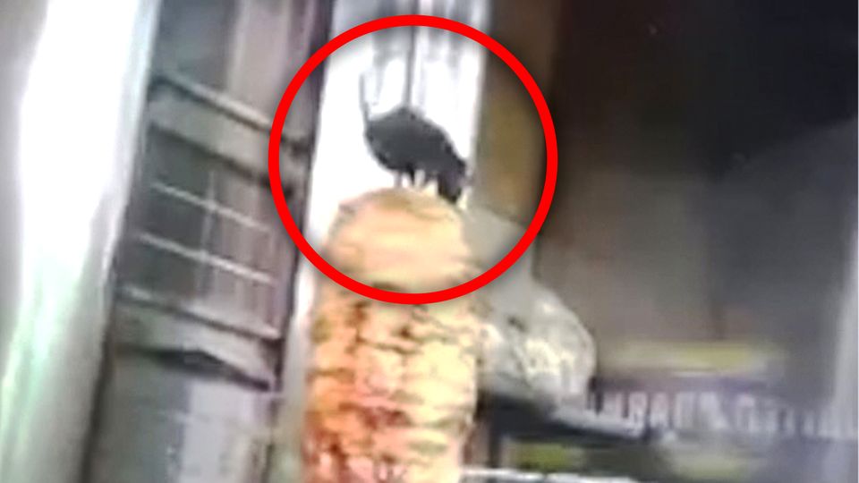 Ratte klettert auf Dönerspieß – Stammt das ekelhafte Video aus Berlin?