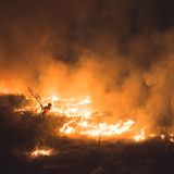 Der Award zeichnet das beste Werk von jungen Fotograf:innen unter 21 Jahren aus. Dieses Jahr gewann Amaan Ali mit seinem Foto "Inferno". Darauf ist ein Junge zu sehen, der mit den Flammen eines Waldbrandes kämpft, die sein Zuhause Yamuna Ghat in Neu Delhi, Indien bedrohen.