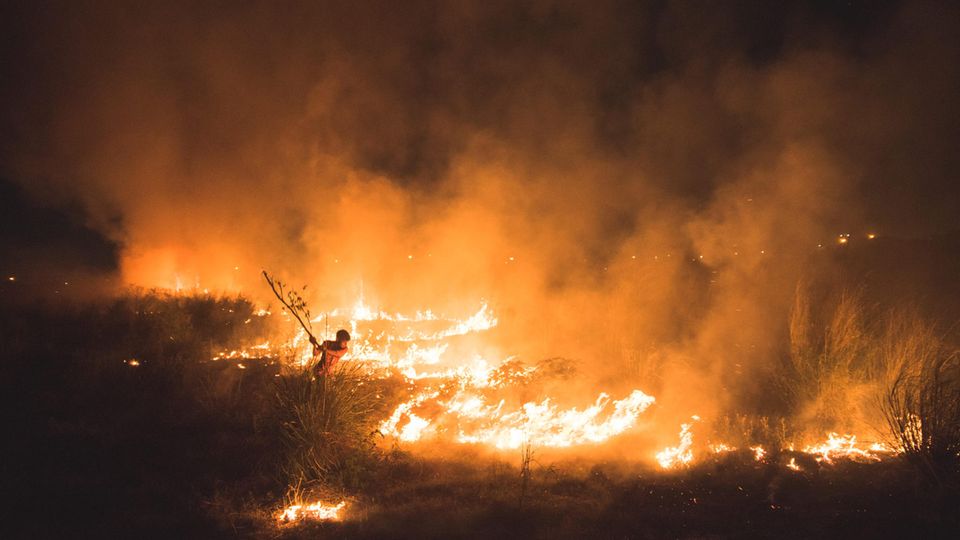 Der Award zeichnet das beste Werk von jungen Fotograf:innen unter 21 Jahren aus. Dieses Jahr gewann Amaan Ali mit seinem Foto "Inferno". Darauf ist ein Junge zu sehen, der mit den Flammen eines Waldbrandes kämpft, die sein Zuhause Yamuna Ghat in Neu Delhi, Indien bedrohen.