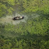 In dieser Kategorie soll die für die Menschen lebenswichtige Beziehung zum Wasser gezeigt werden. Dabei spielen von Wasserknappheiten bis zu Überschwemmungen alle Aspekte des Wassermanagements eine Rolle. 2021 gewinnt der Fotograf Sandipani Chattopadhyay mit dem Foto "Green Barrier" (Grüne Barriere). Darauf sieht man den Fluss Damodar, der durch Indien fließt. Durch unregelmäßige Monsunzeiten und Dürreperioden entstehen häufig Algenblüten, welche sich negativ auf die Lebensräume und die Gesundheit der Menschen auswirken.