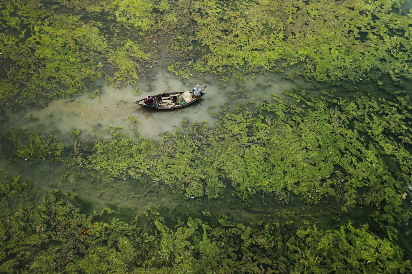 "Water & Security": Sandipani Chattopadhyay In dieser Kategorie soll die für die Menschen lebenswichtige Beziehung zum Wasser gezeigt werden. Dabei spielen von Wasserknappheiten bis zu Überschwemmungen alle Aspekte des Wassermanagements eine Rolle. 2021 gewinnt der Fotograf Sandipani Chattopadhyay mit dem Foto "Green Barrier" (Grüne Barriere). Darauf sieht man den Fluss Damodar, der durch Indien fließt. Durch unregelmäßige Monsunzeiten und Dürreperioden entstehen häufig Algenblüten, welche sich negativ auf die Lebensräume und die Gesundheit der Menschen auswirken.