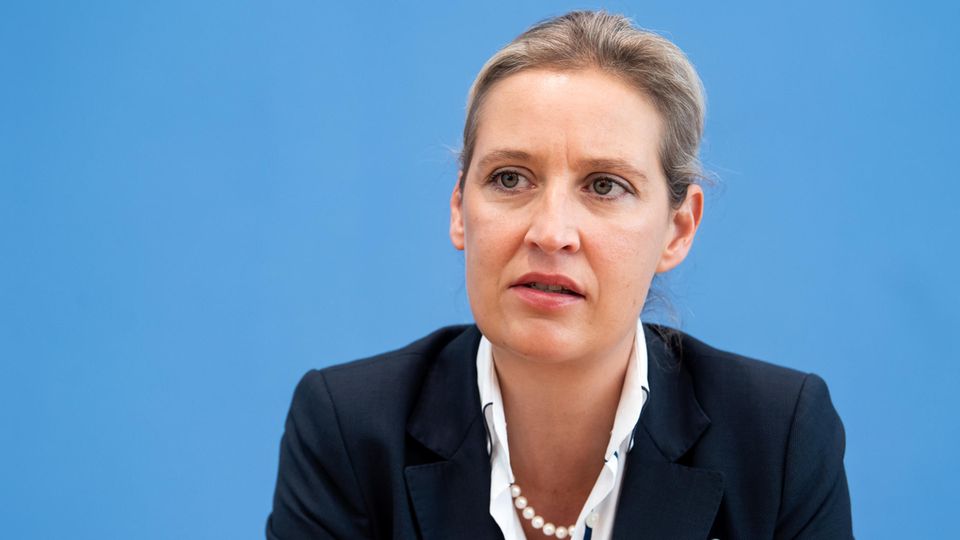 Alice Weidel, Vorsitzende der AfD-Bundestagsfraktion