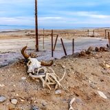 Salton Sea in Kalifornien