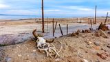 Salton Sea in Kalifornien