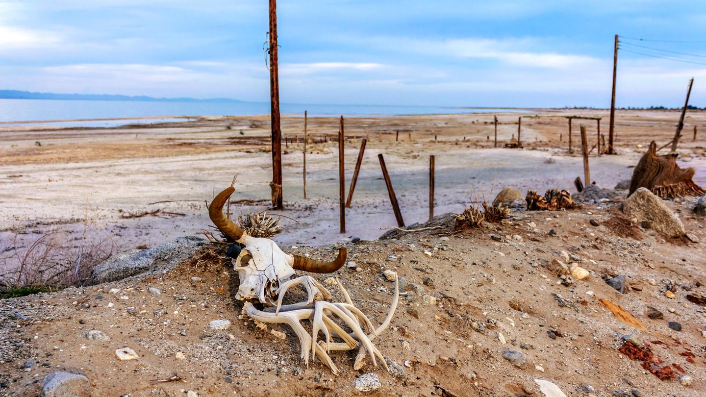 Salton Sea in Kalifornien