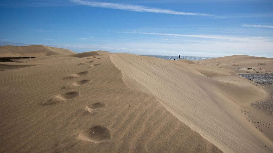 Touristen Lieben Sex In Den Dünen Von Maspalomas Und Zerstören Die Natur Sternde 5149