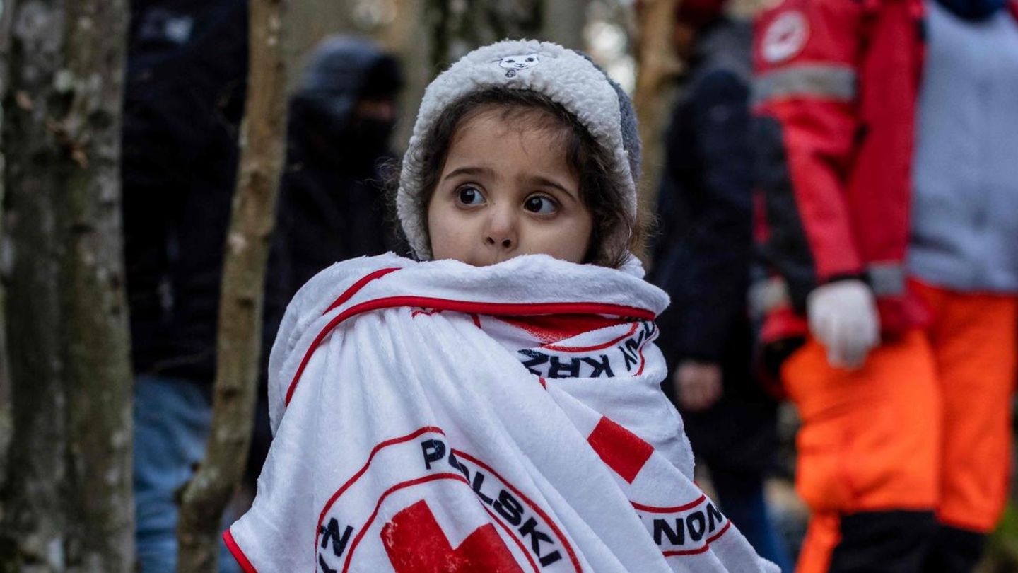 Das junge Mädchen kam mit ihrer kurdischen Familie aus dem Irak. Sie verbrachten 20 Tage im Wald und wurden acht Mal von Polen zurück nach Belarus geschickt.