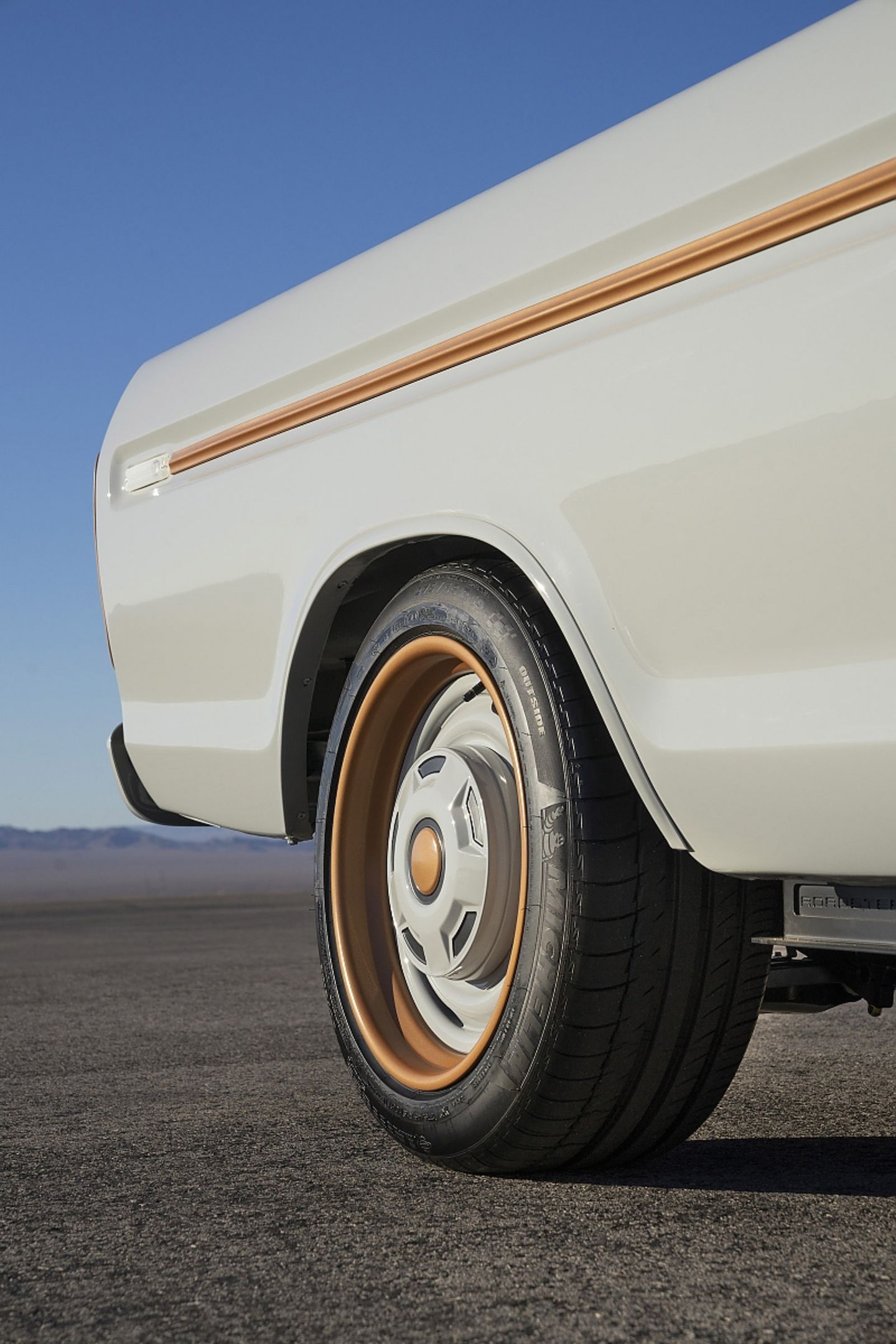 Ford F-100 Eluminator