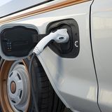 Ford F-100 Eluminator