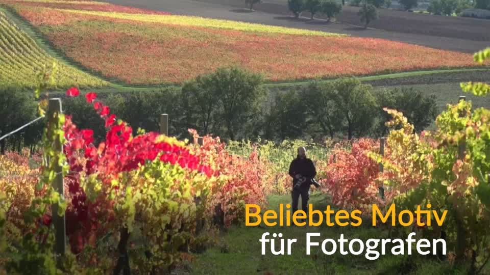 Video: Herbstgedicht aus Italien Video: Herbstgedicht aus Italien