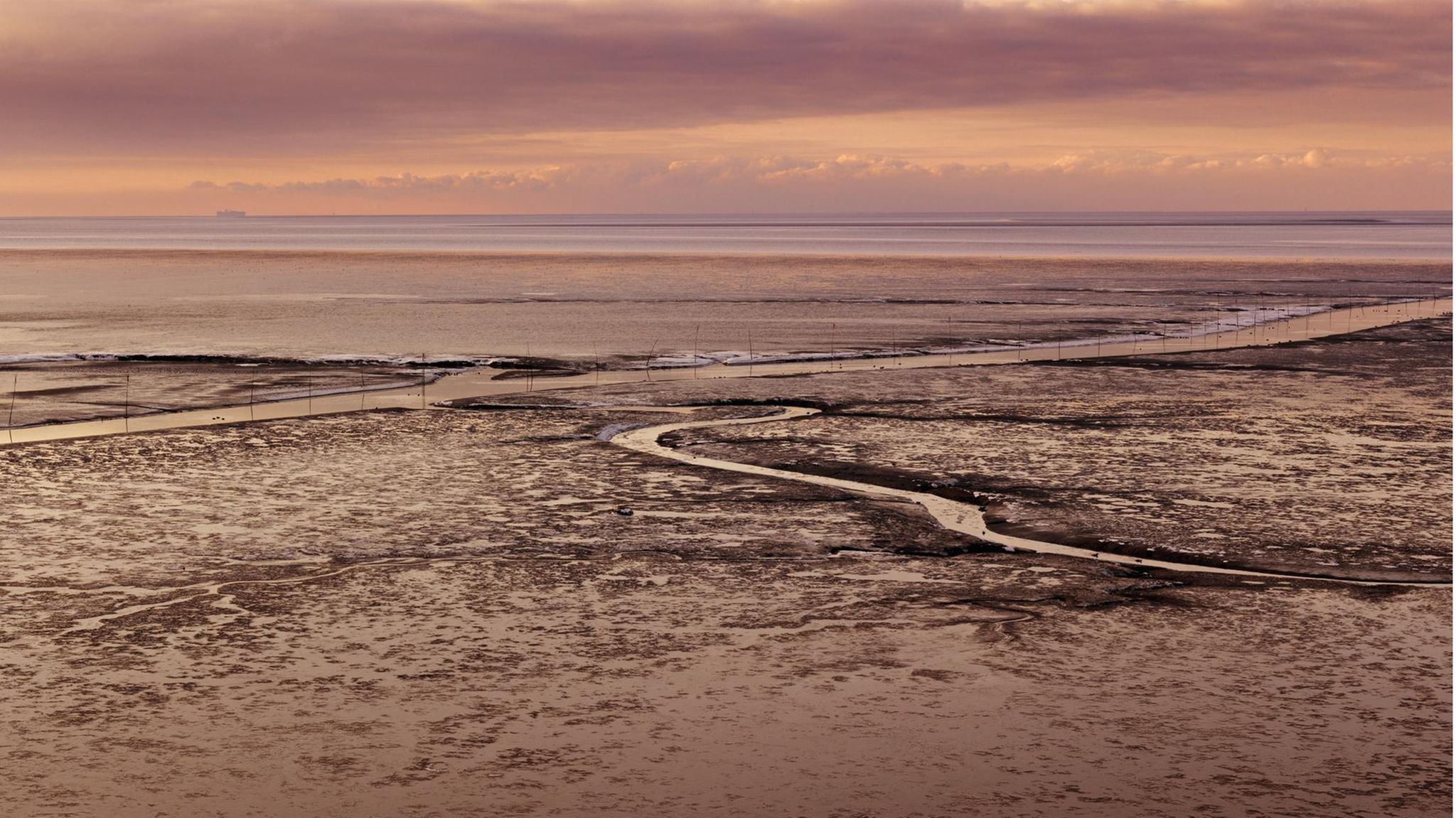 Knechtsand ist eine Sandbank im östlichen niedersächsischen Wattenmeer.
