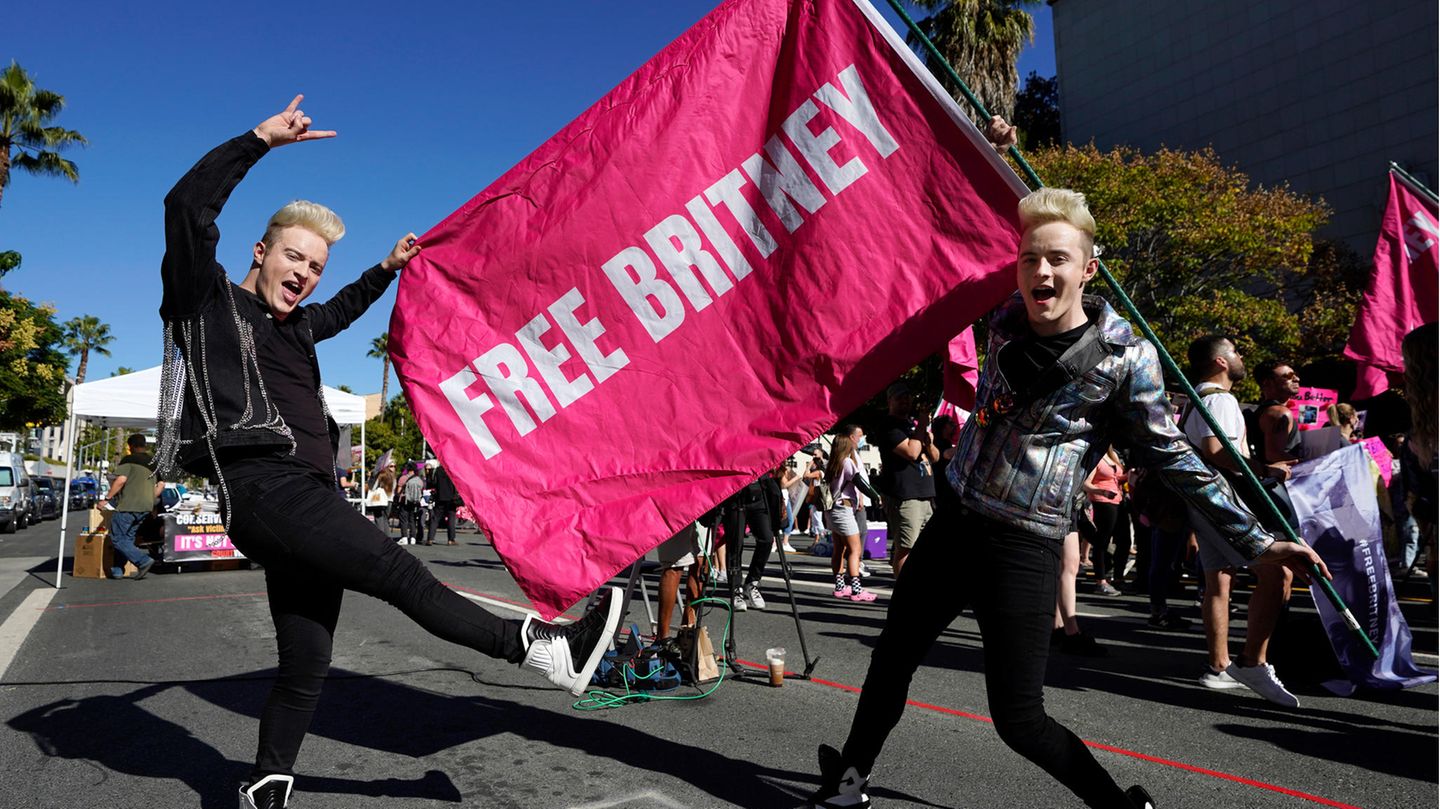 Free-Britney-Zwillinge