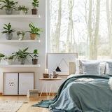 Mit Pflanzen können Sie auch Ihre Wände verzieren. Achten Sie bei der Auswahl der Pflanzen darauf, dass diese nicht zu groß werden und im Zweifel mit wenig Licht auskommen können. Aufgereiht in einem Regal mit einem Übertopf-Mix ersetzt es Bilder an der Wand.