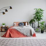 Wer einen besonders grünen Daumen hat, sollte das auch zeigen. Zimmerpflanzen können im Mix auch gruppiert werden, so dass eine "grüne Ecke" entsteht. Aber Achtung: Schieben Sie die Töpfe nicht zu stark an die Wand. Außerdem sollten die Pflanzen verschiedene Höhen haben, um etwas Dynamik ins Spiel zu bringen. Hocker oder Tischchen helfen dabei. 