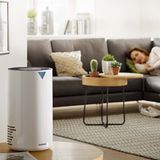 Soehnle Airfresh Clean 300