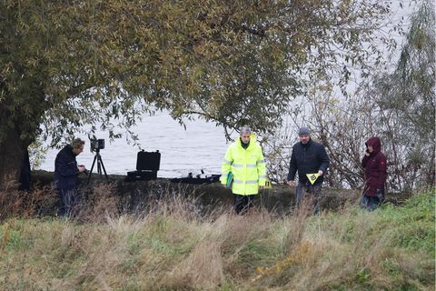 Im hohen Gras unter einem Baum suchen drei Männer und eine Frau den Boden ab