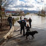 Die Geretteten haben wieder festen Boden unter den Füßen. 