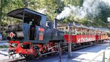 Dampflok der Achenseebahn